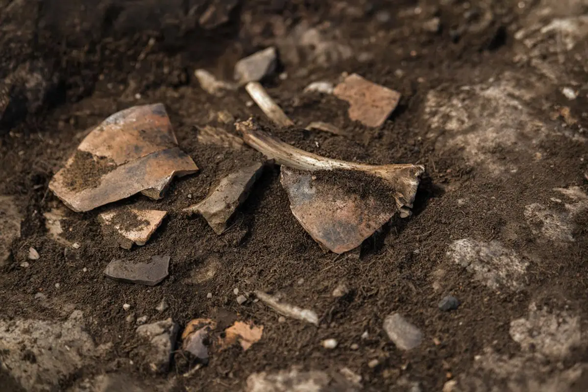 Ancient ceramic cooking vessels and animal bones on an archaeological excavation surface, soil and stone visible, natural daylight